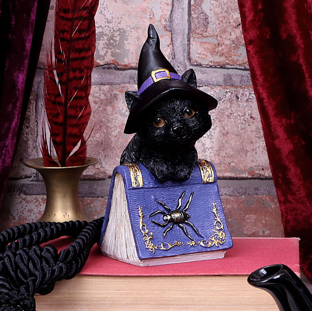 Pocus Spellbook Kitty