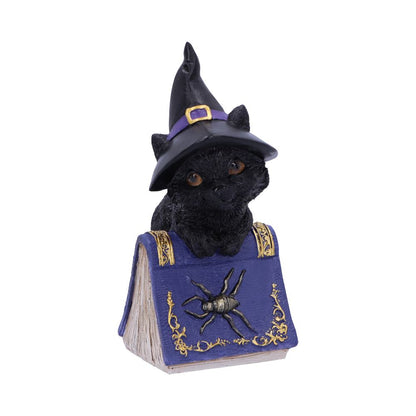 Pocus Spellbook Kitty