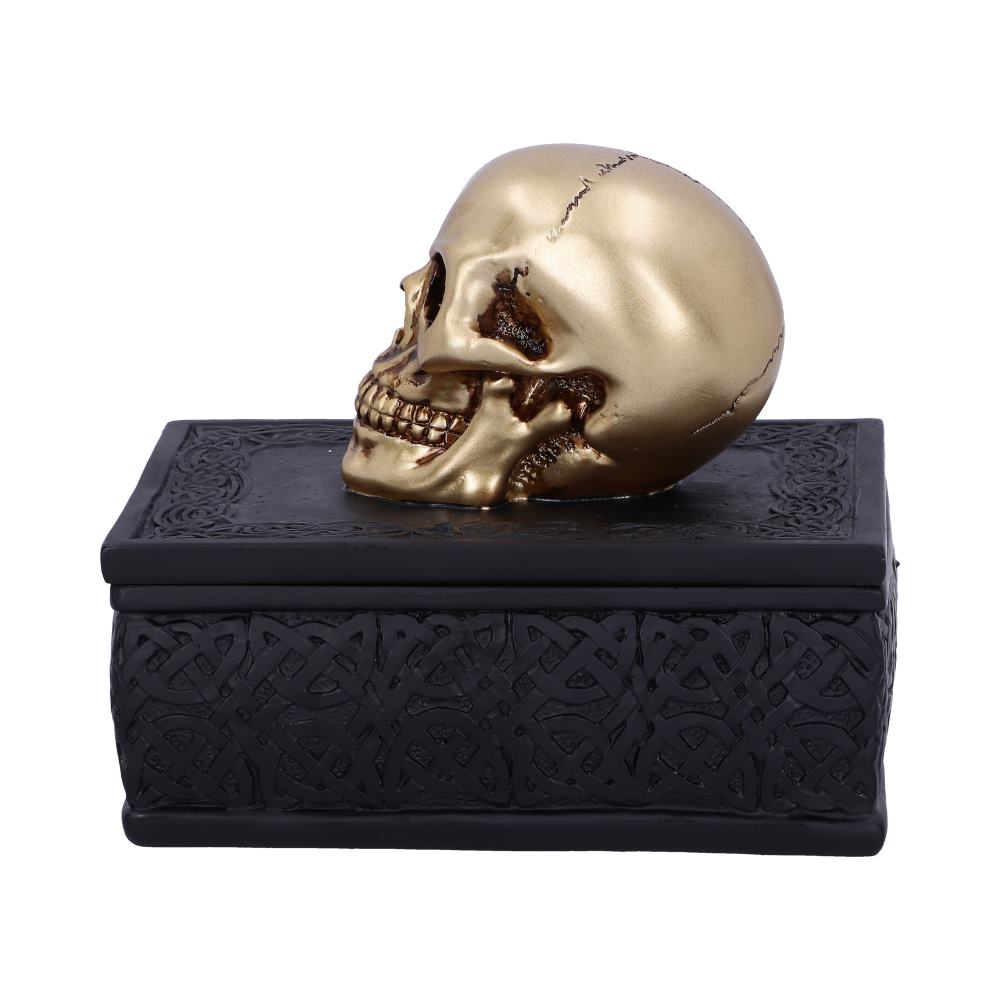 Celtic Opulence Skull Box