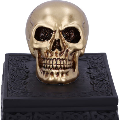 Celtic Opulence Skull Box