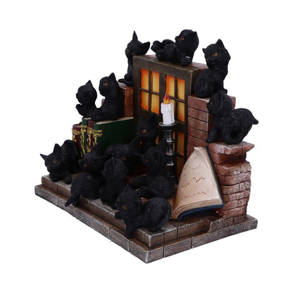 The Witches Litter 36 piece Display Set