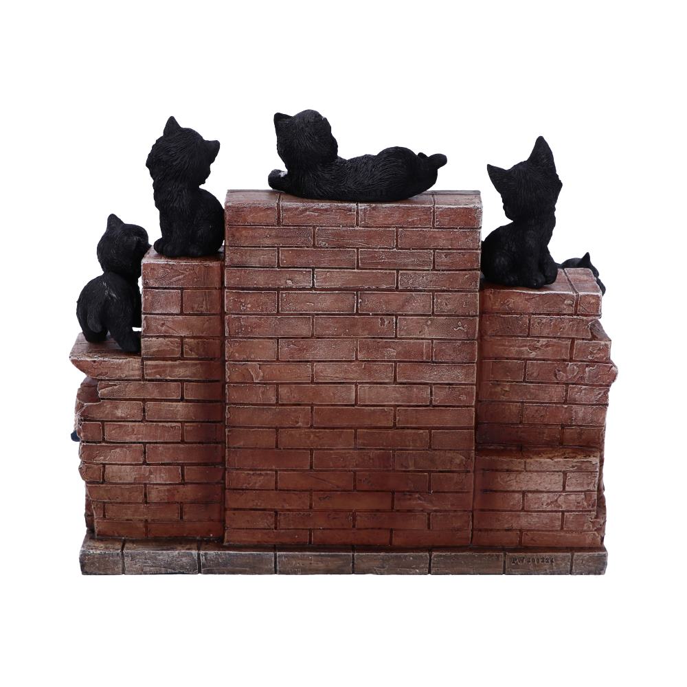 The Witches Litter 36 piece Display Set