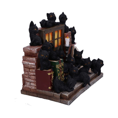 The Witches Litter 36 piece Display Set