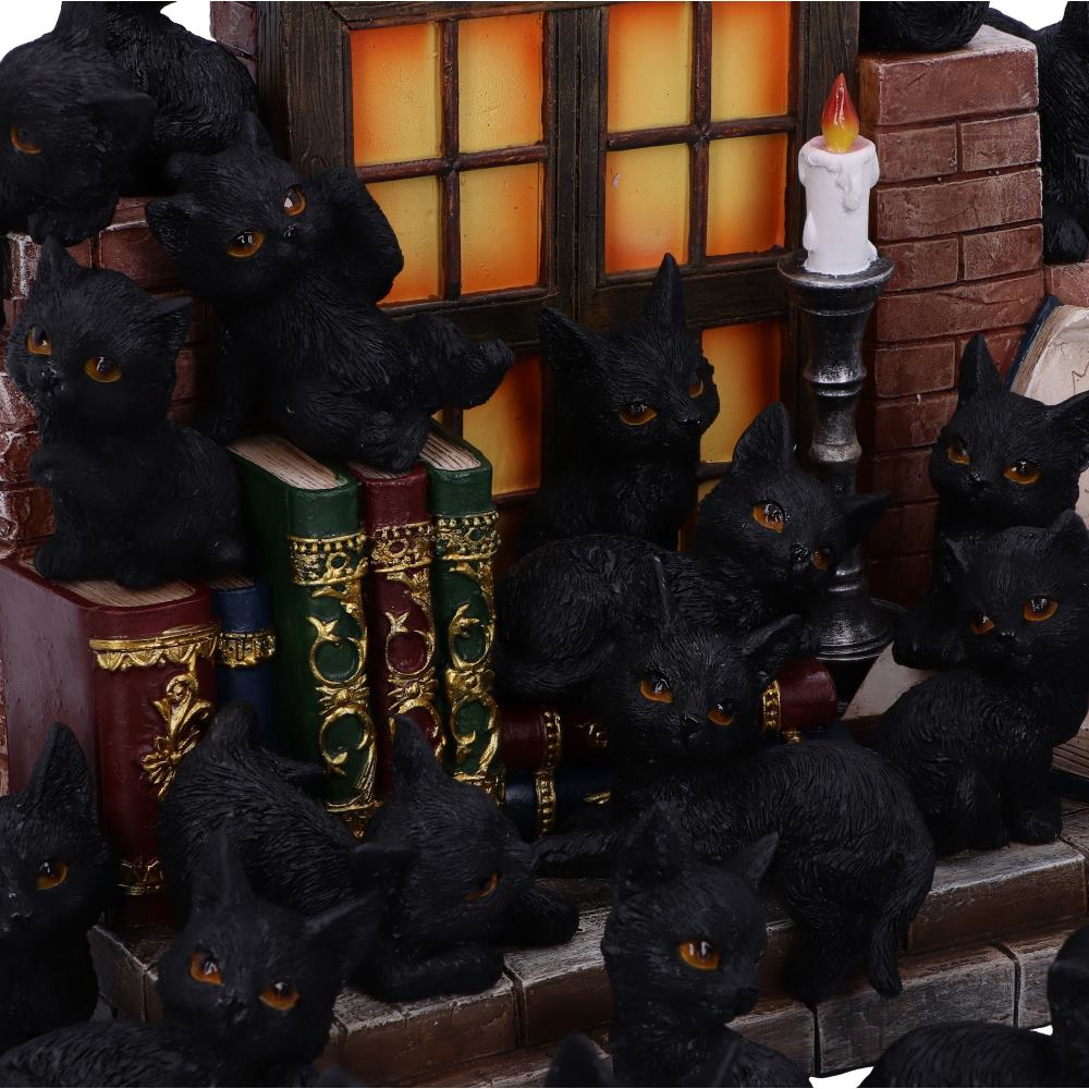 The Witches Litter 36 piece Display Set