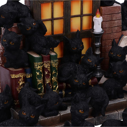 The Witches Litter 36 piece Display Set