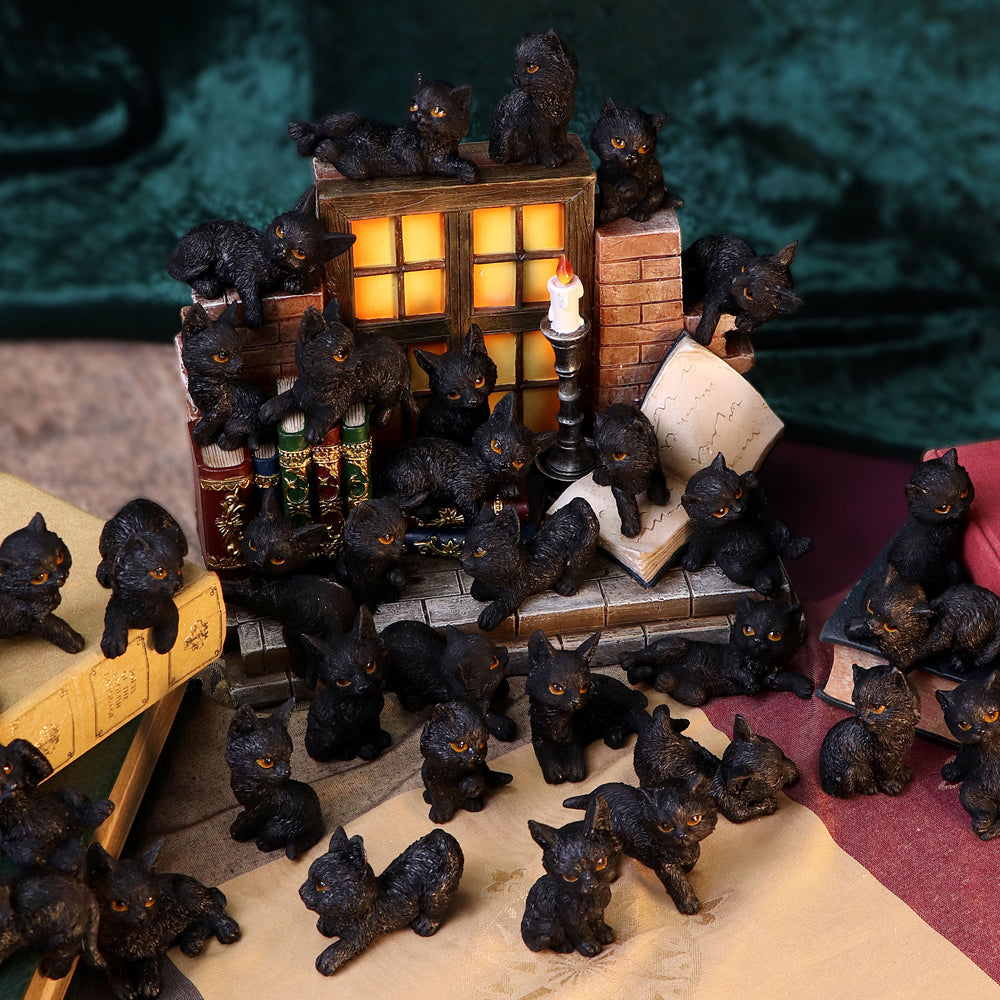 The Witches Litter 36 piece Display Set