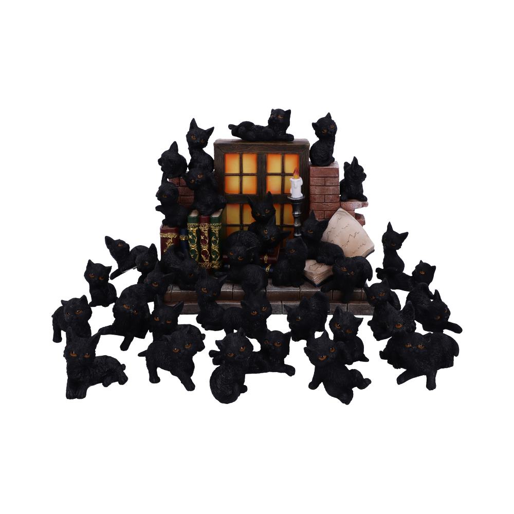 The Witches Litter 36 piece Display Set