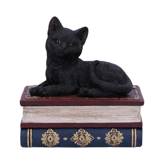 Salem's Spells Trinket Box