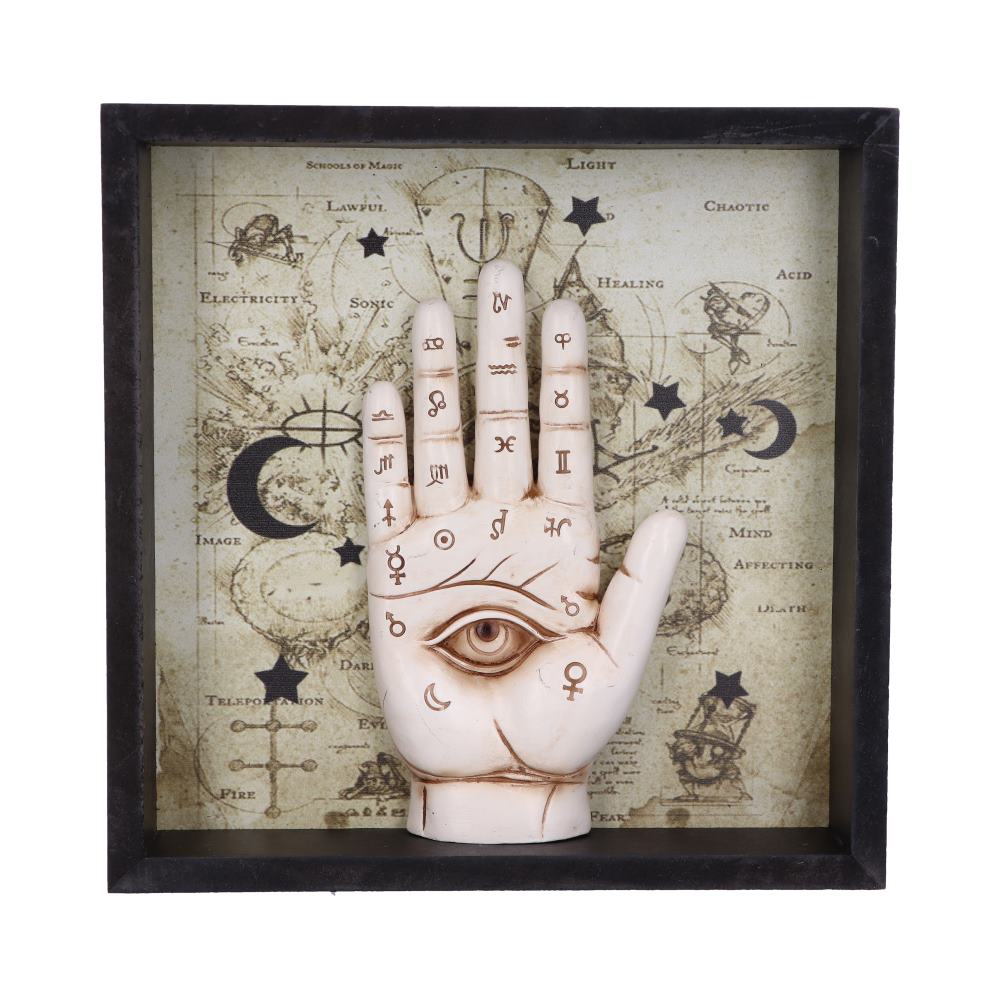 Palmistry Companion Wall Art