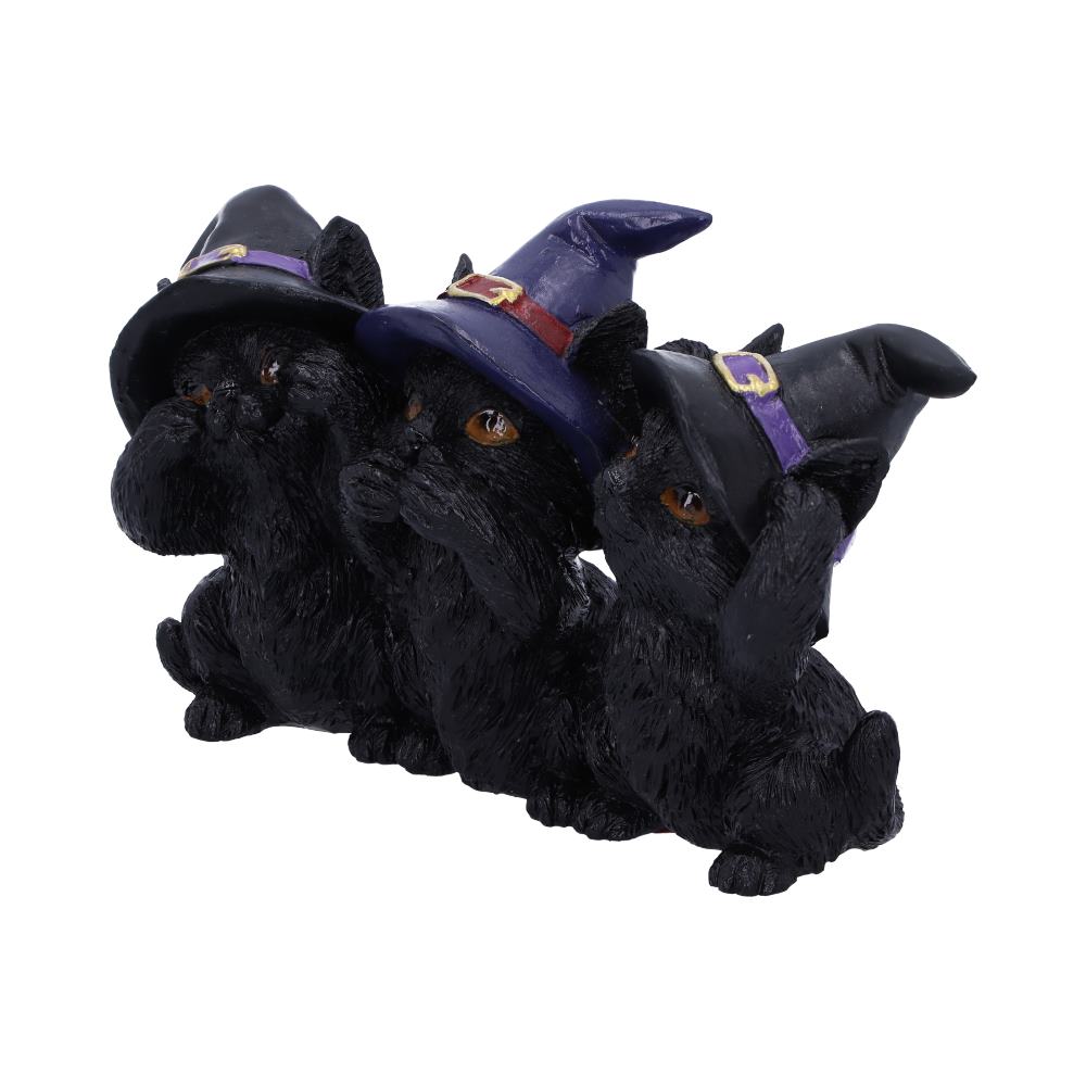 Three Wise Black Cats