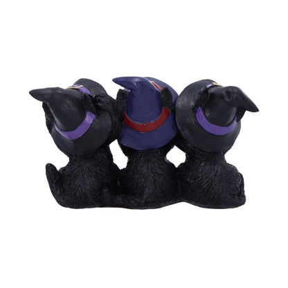 Three Wise Black Cats