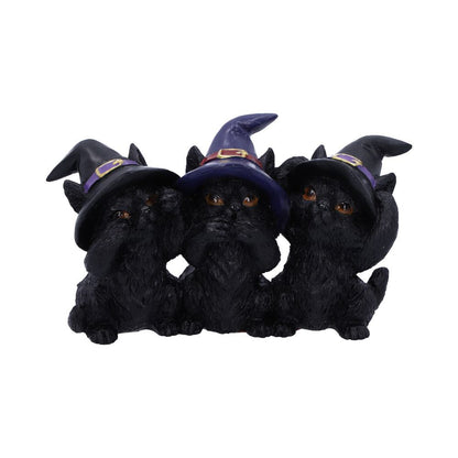 Three Wise Black Cats