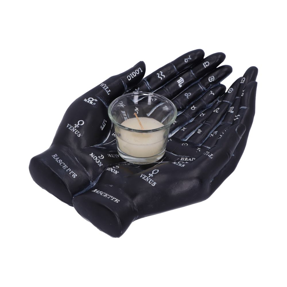 Palmist's Guide (Black)