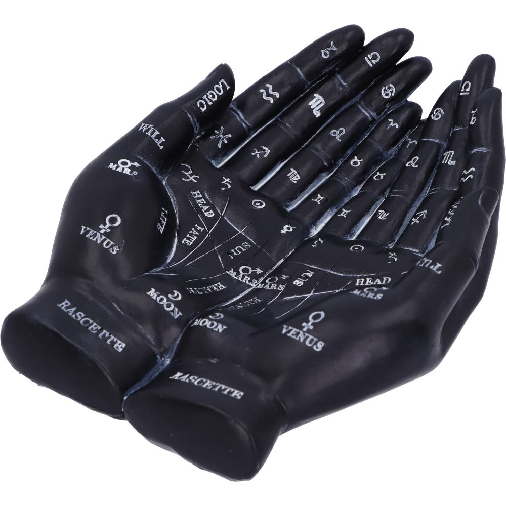 Palmist's Guide (Black)