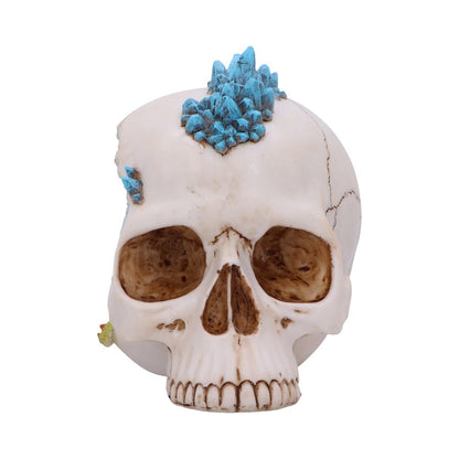 Crystal Cave Blue Skull