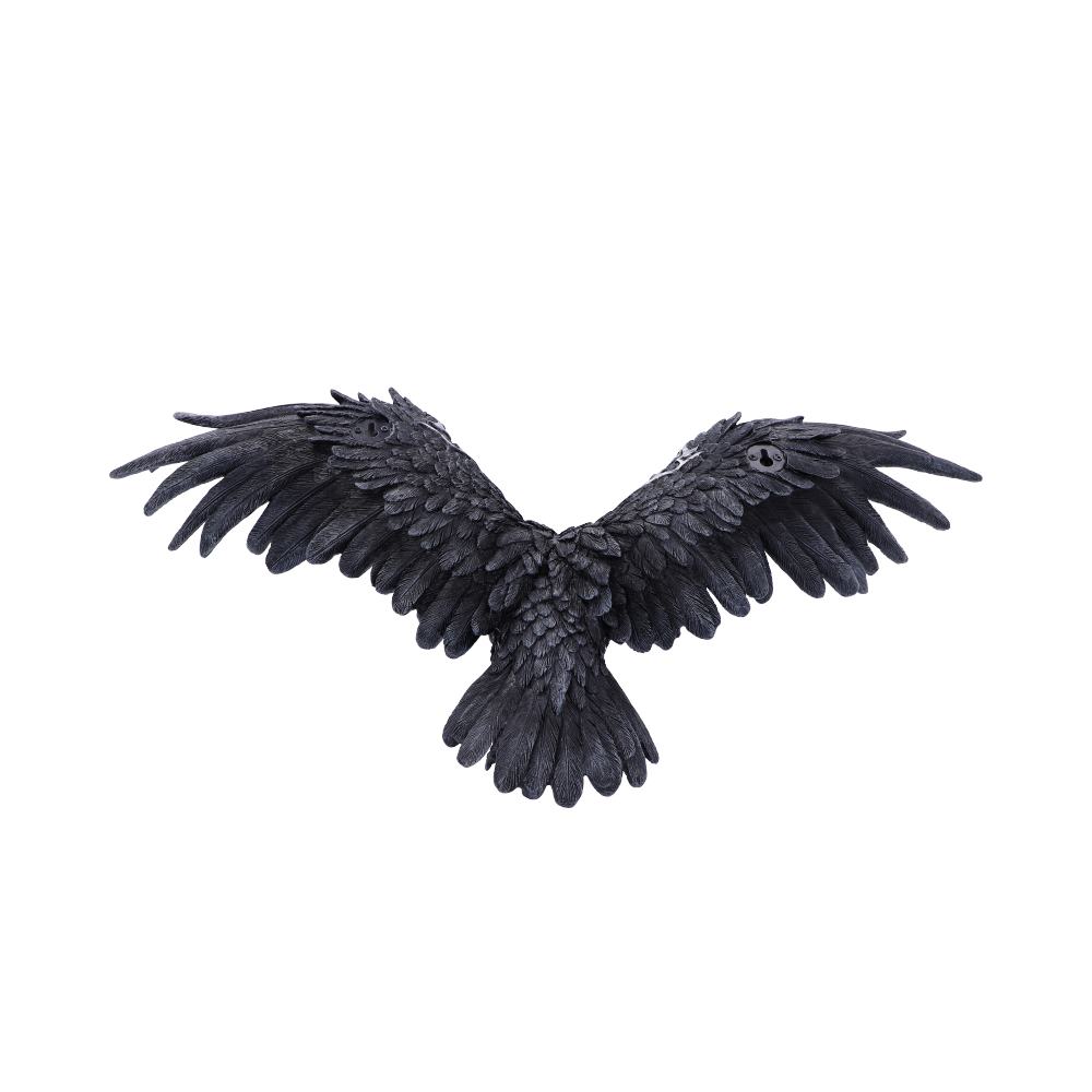 Dark Feather Wall Plaque