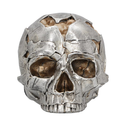 Fracture Skull - Large