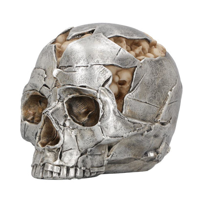 Fracture Skull - Large