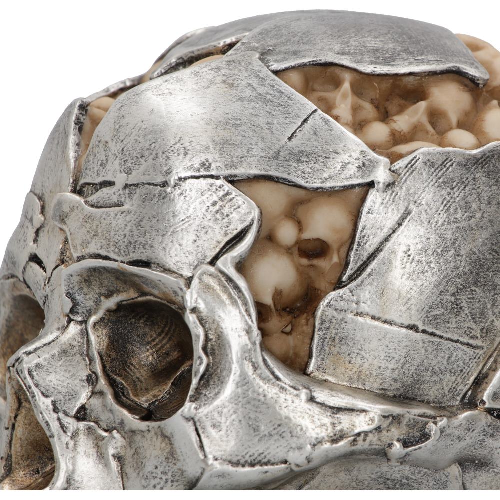 Fracture Skull - Large