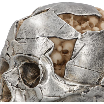 Fracture Skull - Large