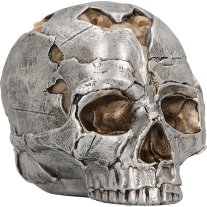 Fracture Skull - Large