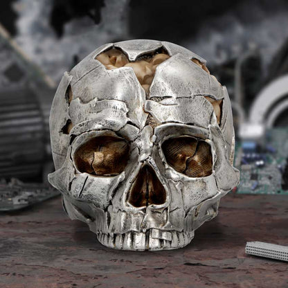 Fracture Skull - Large