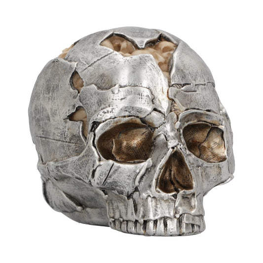 Fracture Skull - Large