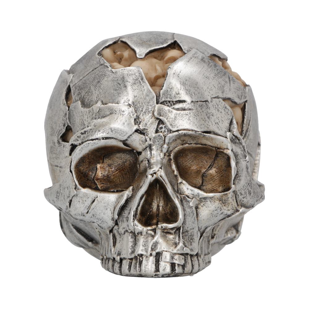 Fracture Skull - Small