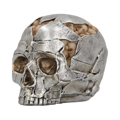 Fracture Skull - Small