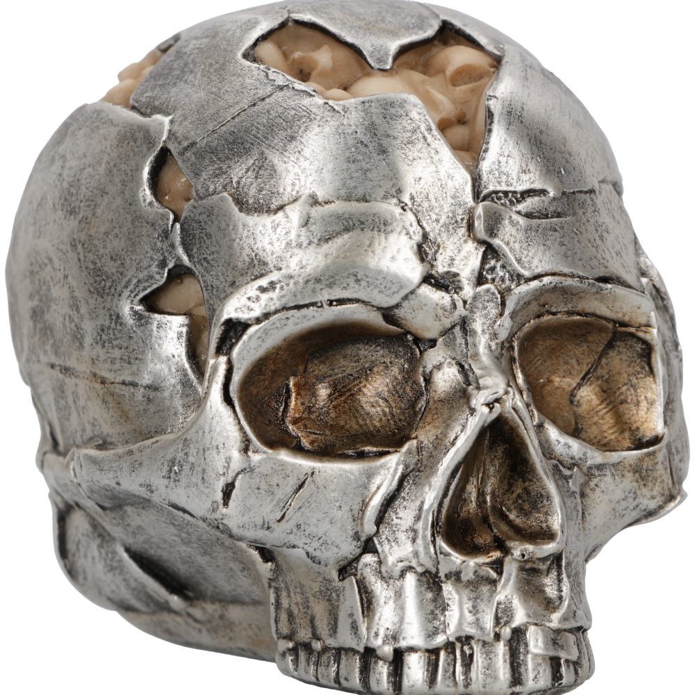 Fracture Skull - Small