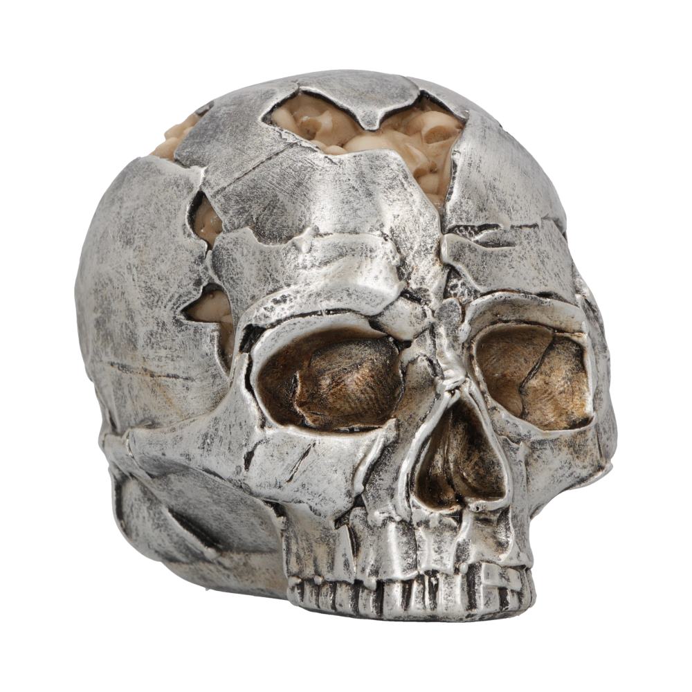 Fracture Skull - Small