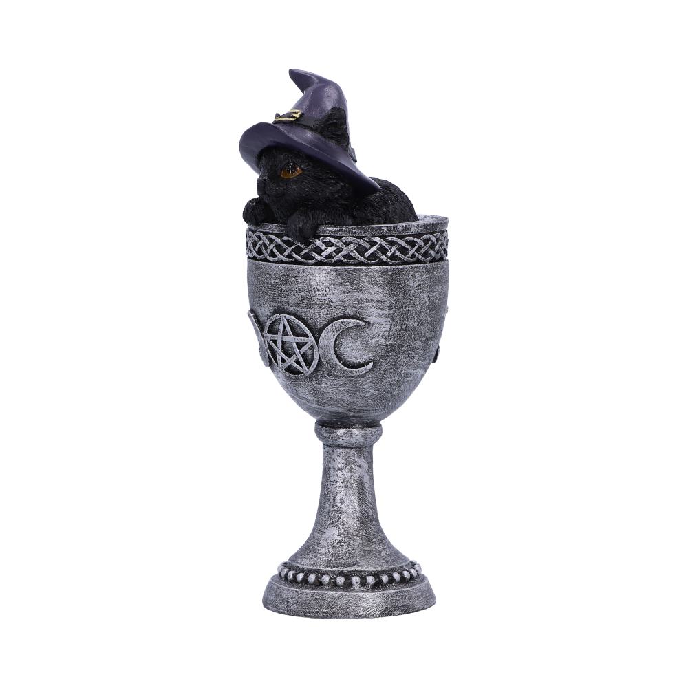 Coven Cup