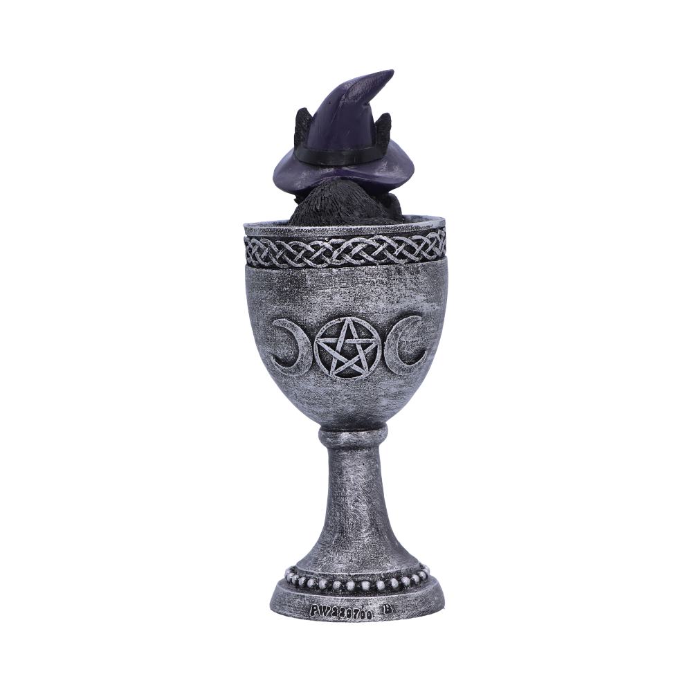 Coven Cup