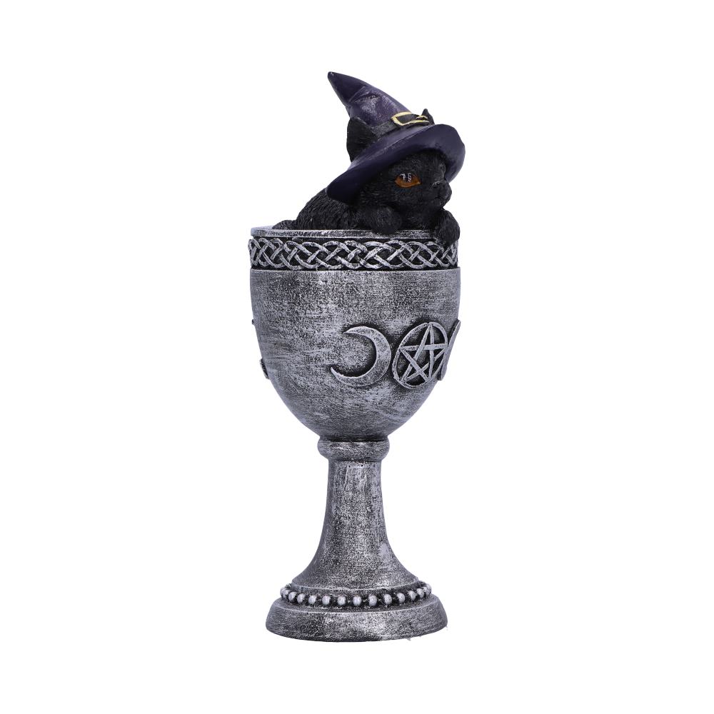 Coven Cup