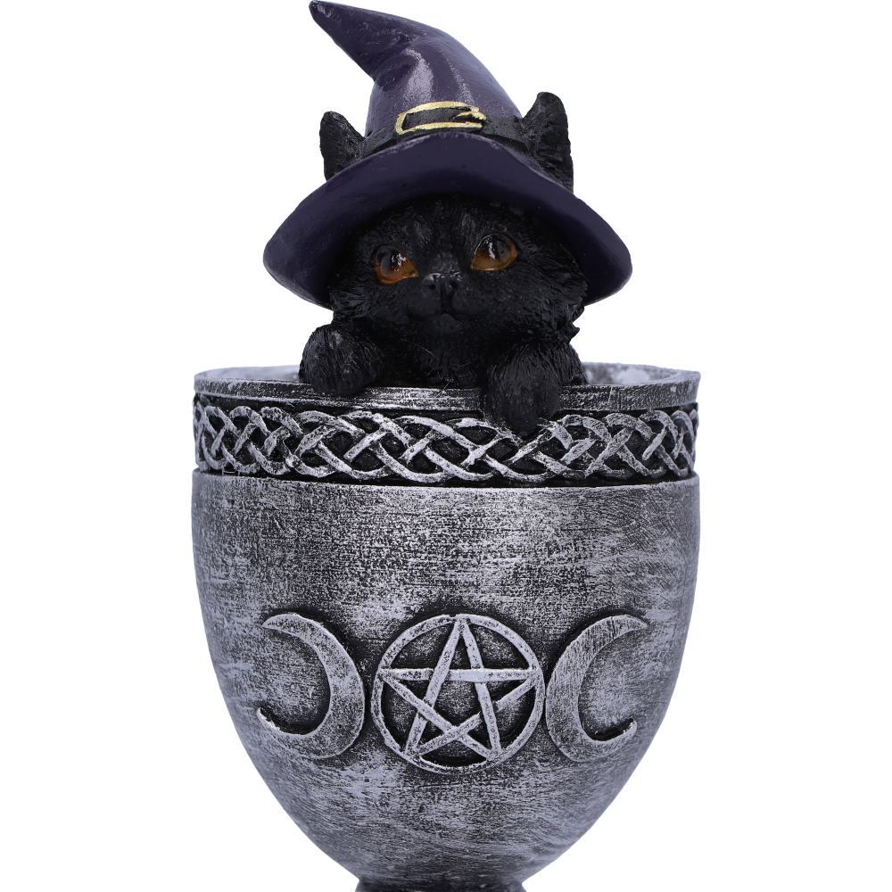 Coven Cup