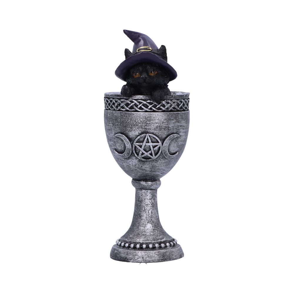 Coven Cup