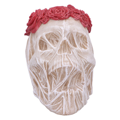 The Veil Skull (Large)