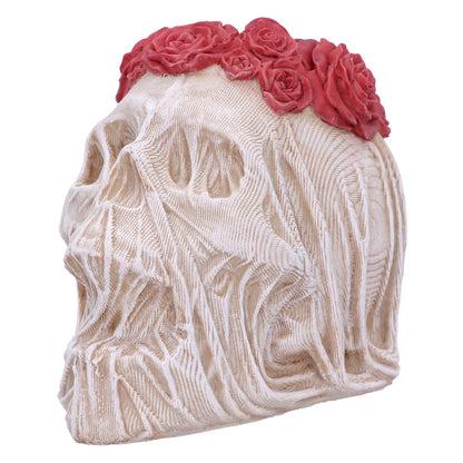 The Veil Skull (Large)