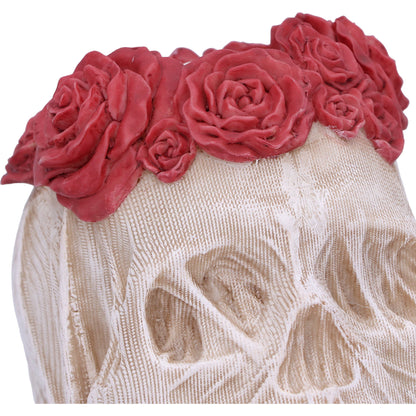 The Veil Skull (Large)