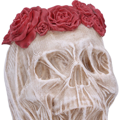 The Veil Skull (Small)