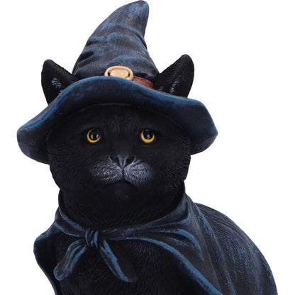 Bewitching Cat Figurine