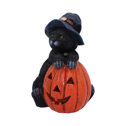 Trick or Treat Cat