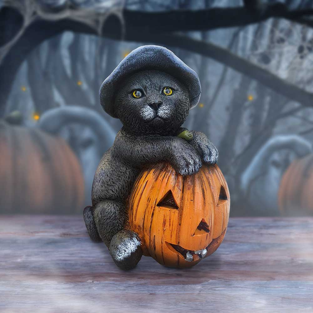 Trick or Treat Cat