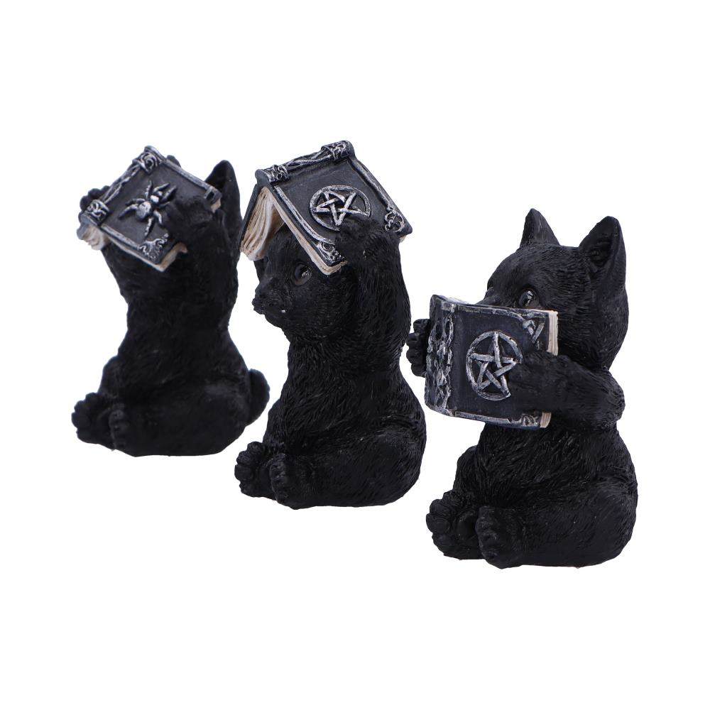 Three Wise Spell Cats