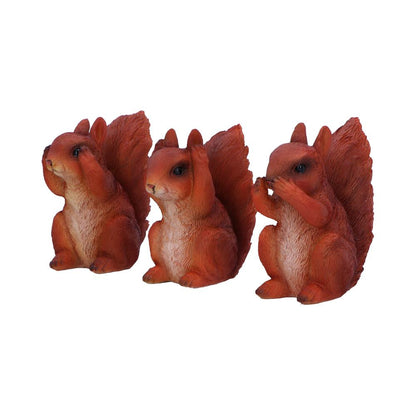 Three Wise Red Squirrels