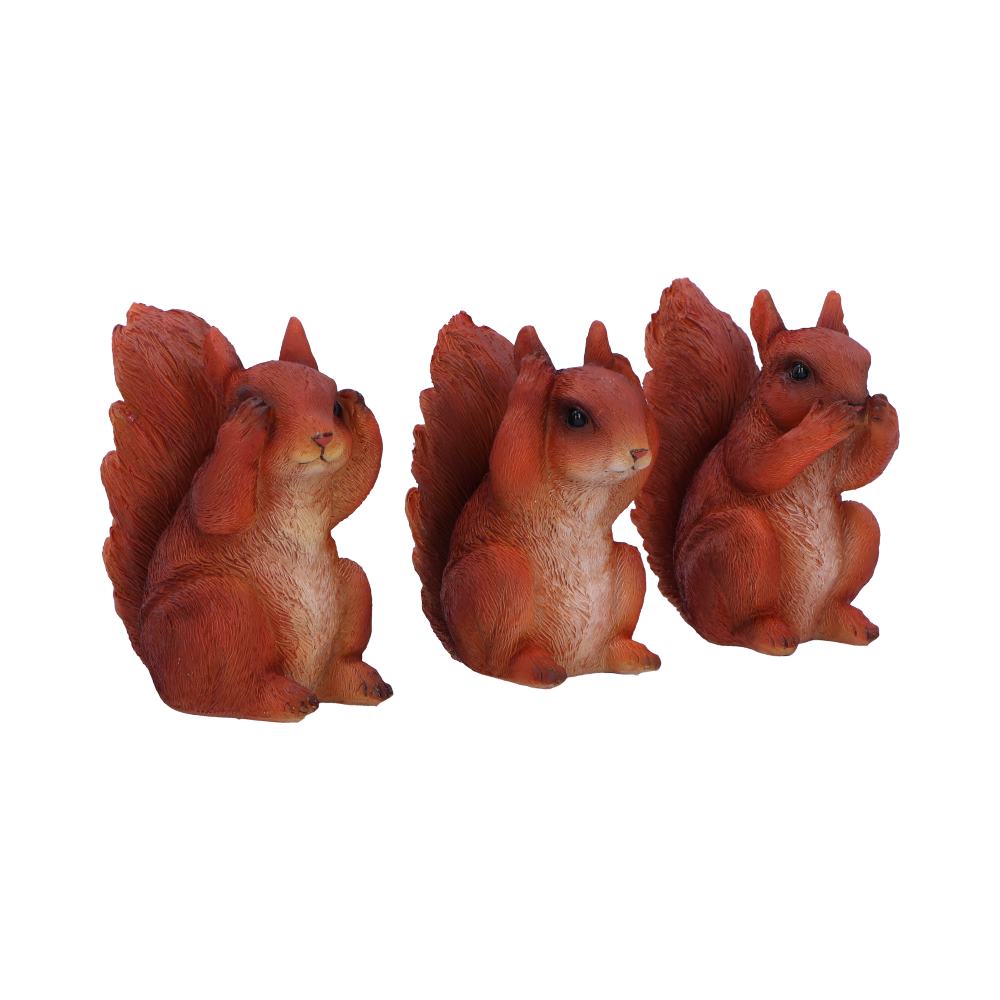 Three Wise Red Squirrels