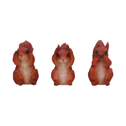 Three Wise Red Squirrels