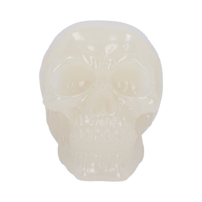 Phosphorescent Skull Figurine