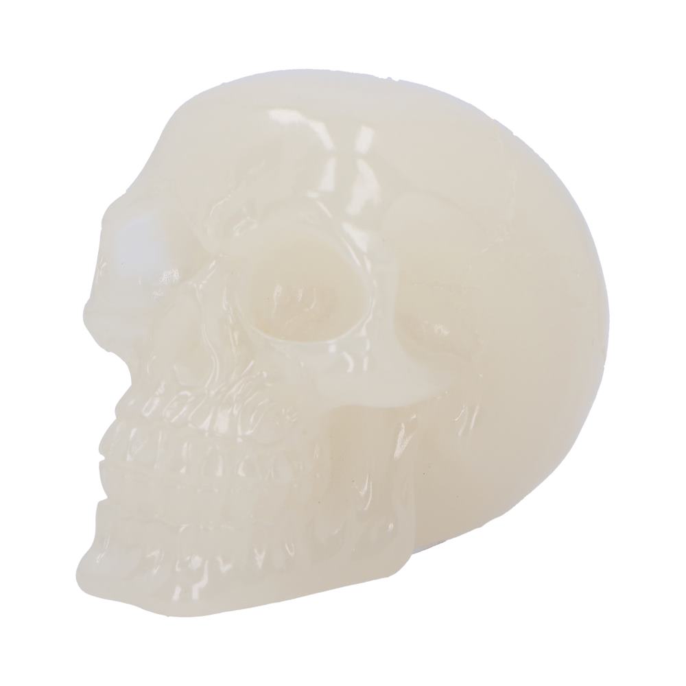 Phosphorescent Skull Figurine