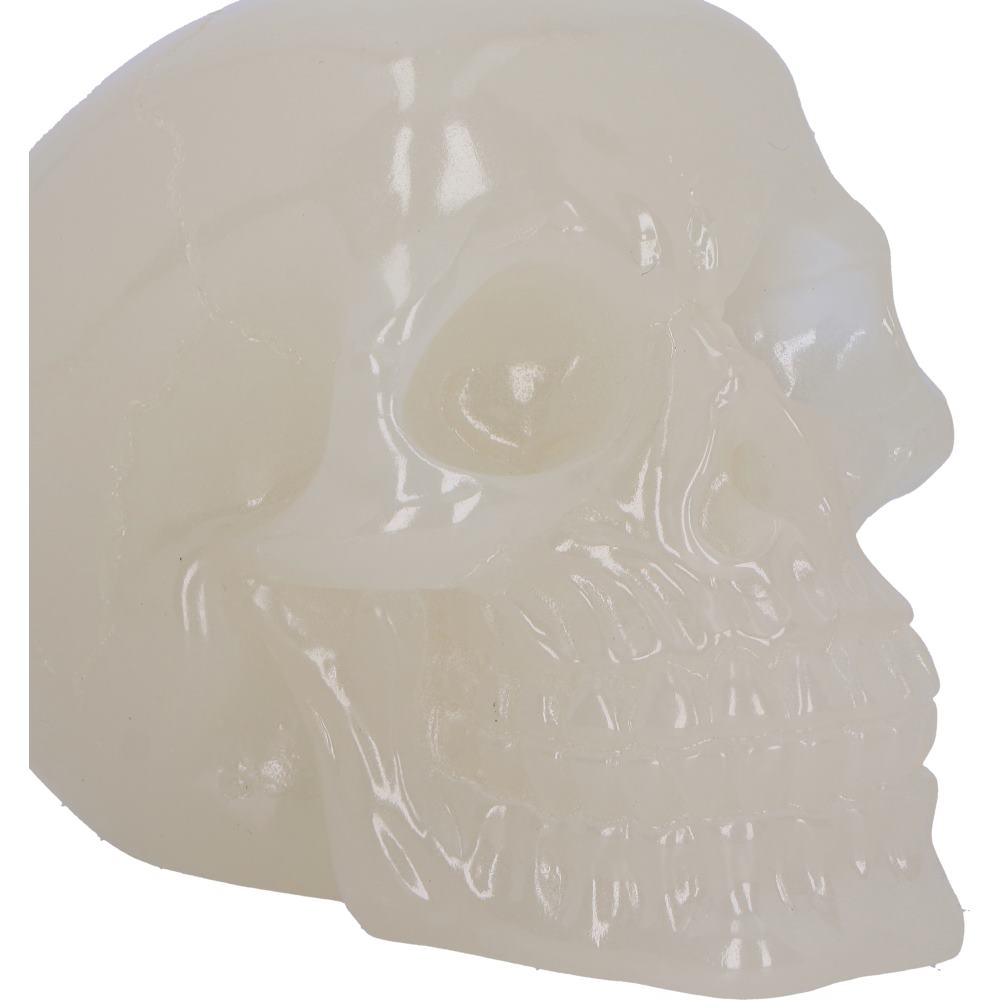 Phosphorescent Skull Figurine